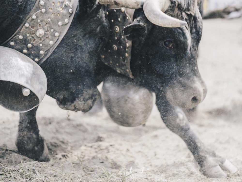 Immersions Maxime Fayet Photographie