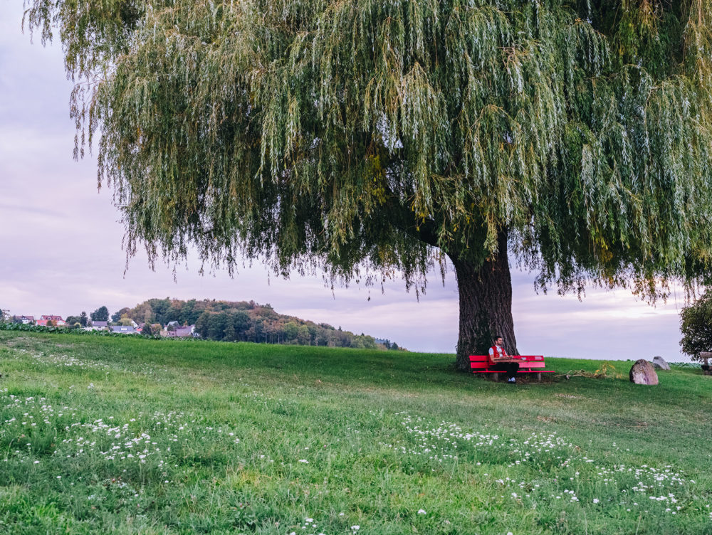 Maxime Fayet photographie